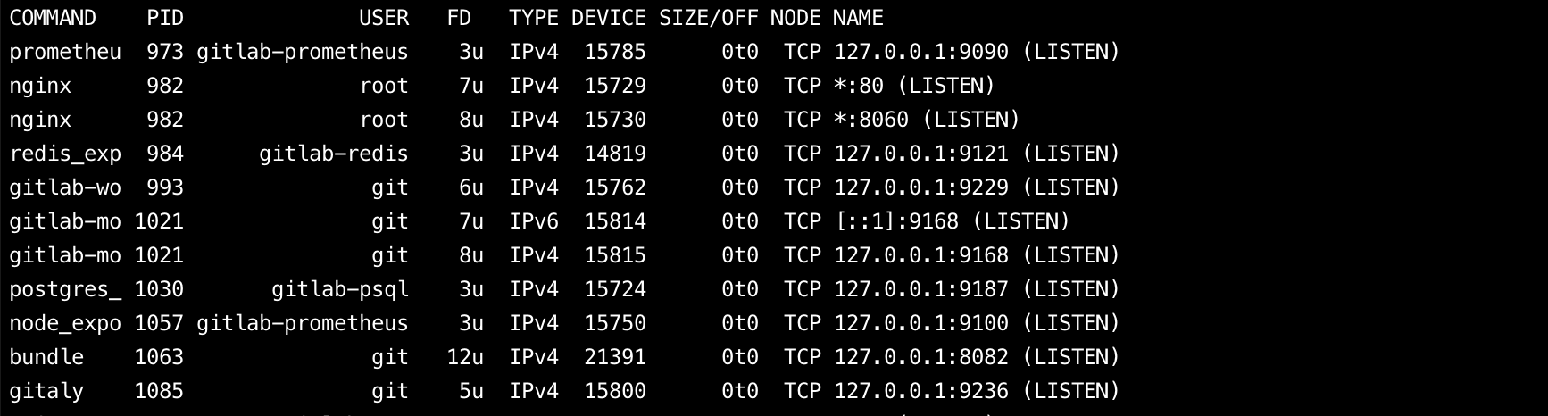 Checking Listening Ports and Services in Use(netstat,ss,lsof)